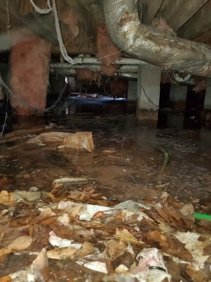 Crawl space flood assessment for Commercial Water Damage Restoration in Halifax